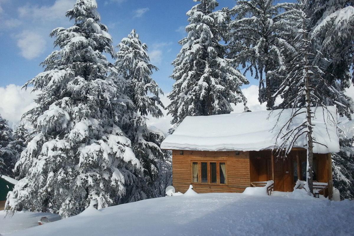 Отель Arcadian Sprucewoods Shogran Экстерьер фото
