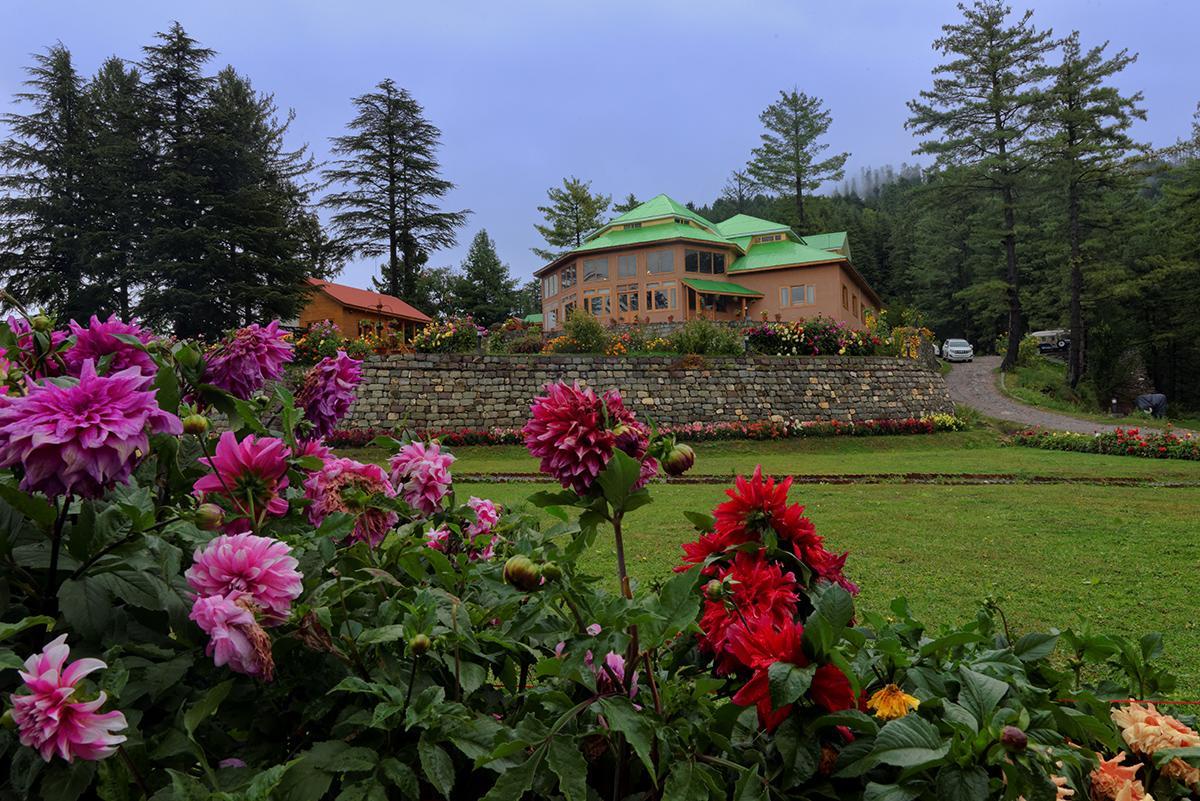 Отель Arcadian Sprucewoods Shogran Экстерьер фото
