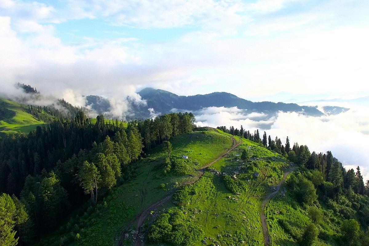 Отель Arcadian Sprucewoods Shogran Экстерьер фото